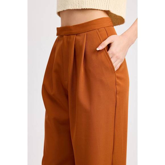 NEW ASTR atlas trouser in terracotta - Picture 4 of 4